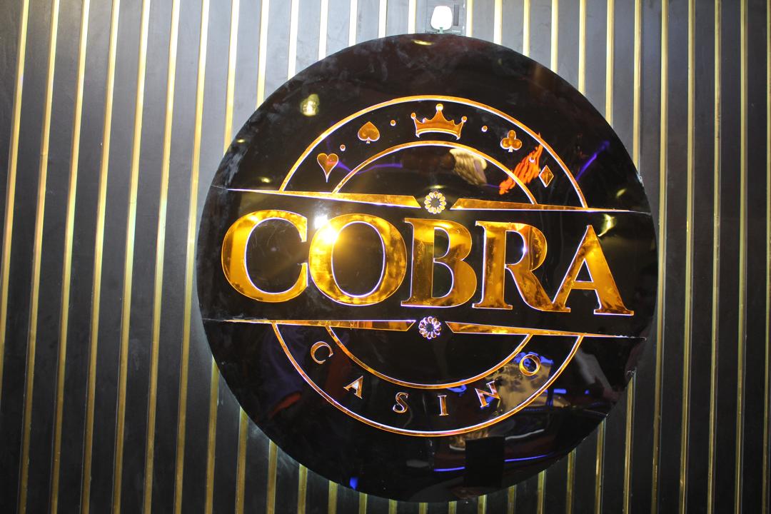 Bilder Cobra Casino